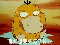 海参崴8月酒店预订,海参崴酒店打车费用