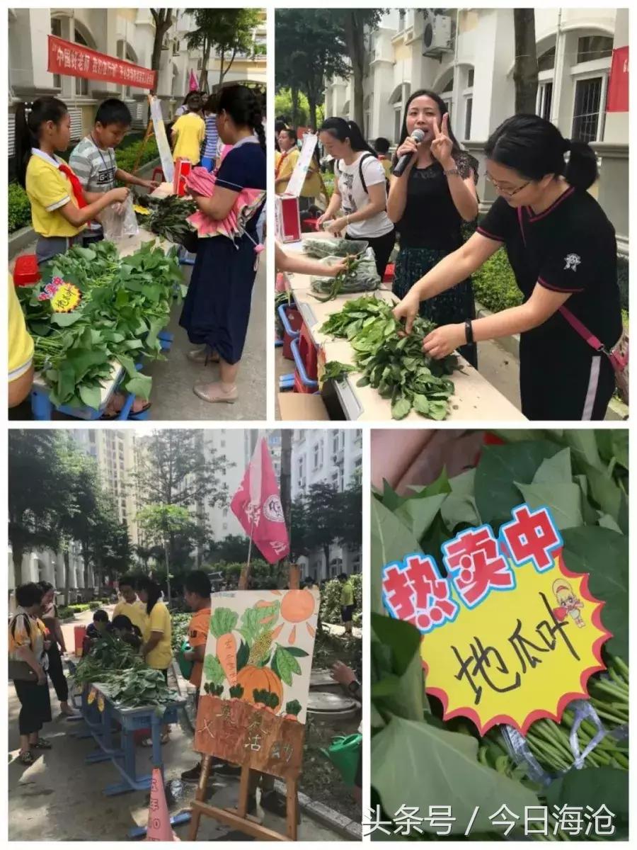 海沧“最京味”学校：明星课程走俏央视、还拿下世界总冠军