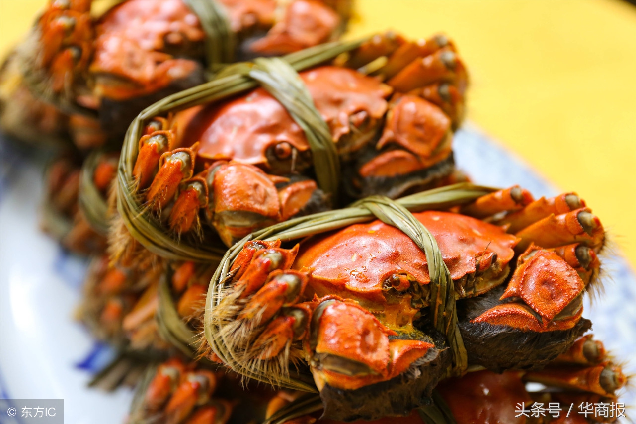 西安阳澄湖大闸蟹哪家正宗,西安阳澄湖大闸蟹选哪家