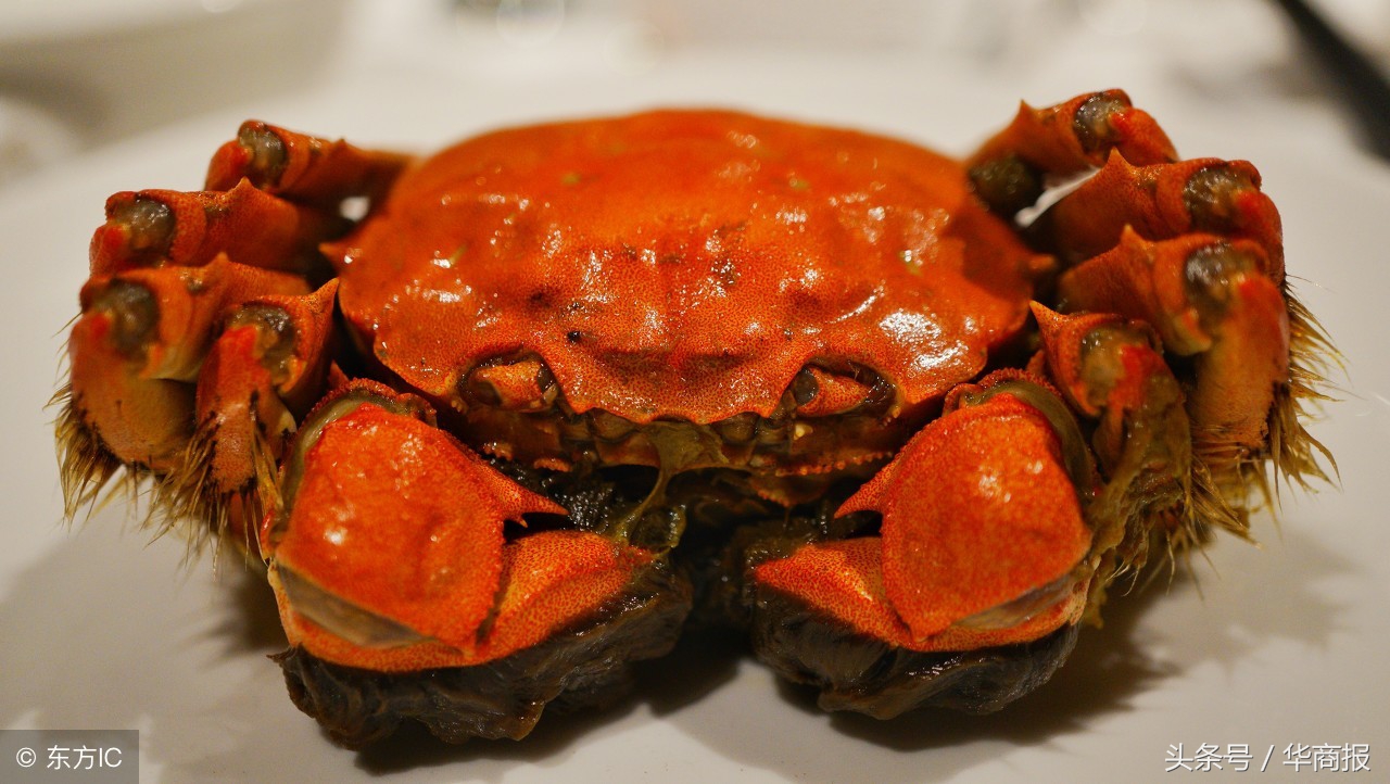 西安阳澄湖大闸蟹哪家正宗,西安阳澄湖大闸蟹选哪家