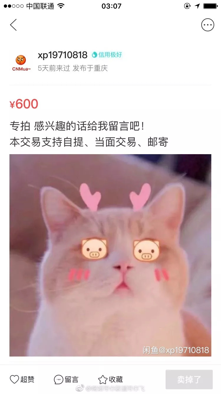 饺子君sama事件最新进展,女主播饺子君