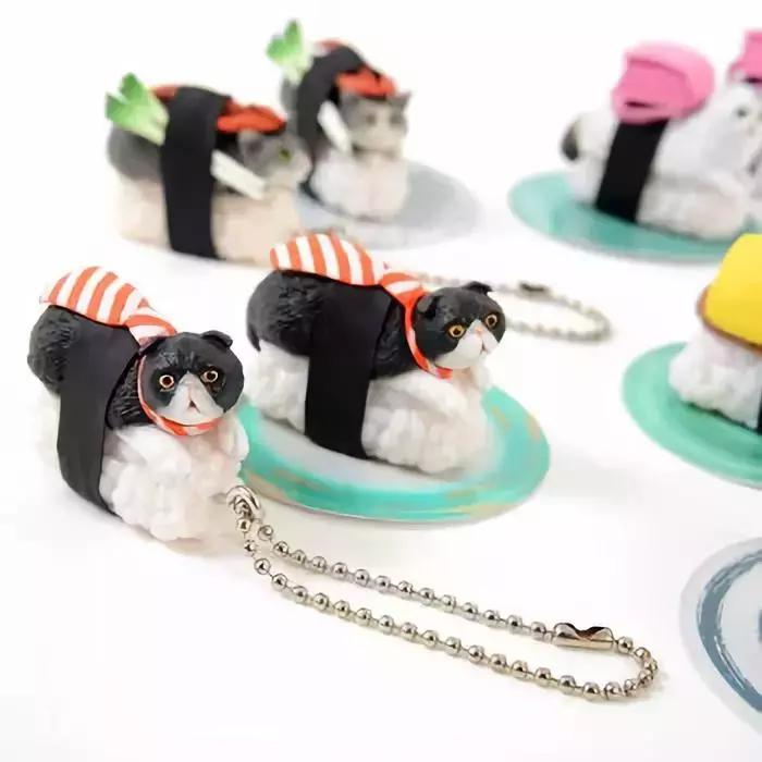 猫咪卧在盘子,猫咪卧在桌子上