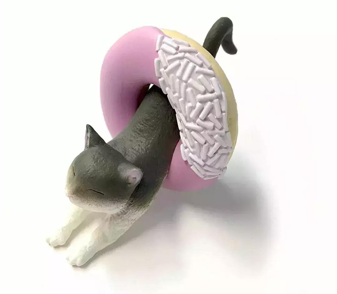 猫咪卧在盘子,猫咪卧在桌子上