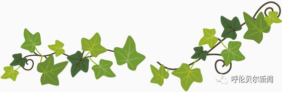 让“珍珠”真正发光——阿荣旗住建局帮扶*合六**镇珍珠村纪实