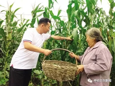 让“珍珠”真正发光——阿荣旗住建局帮扶*合六**镇珍珠村纪实