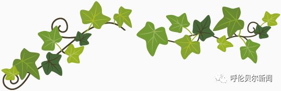 让“珍珠”真正发光——阿荣旗住建局帮扶*合六**镇珍珠村纪实