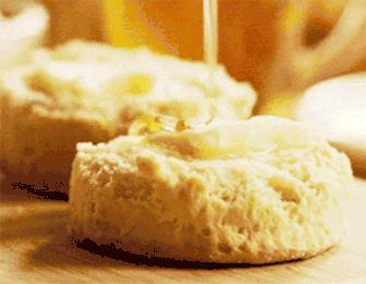 美味可口的蜂蜜竟是吐出来的,美味可口的蜂蜜竟然是吐出来的