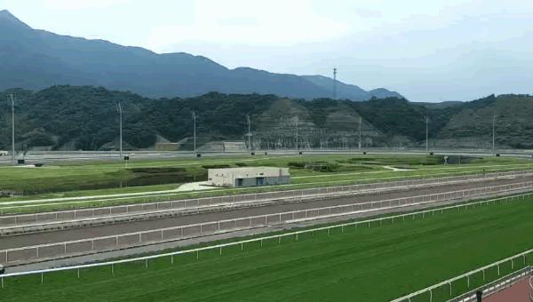 wow马术,香港赛马会从化马场