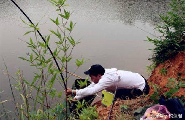 钓到大鱼总是切线跑鱼？别怪线组太细，是你遛鱼手法不对！