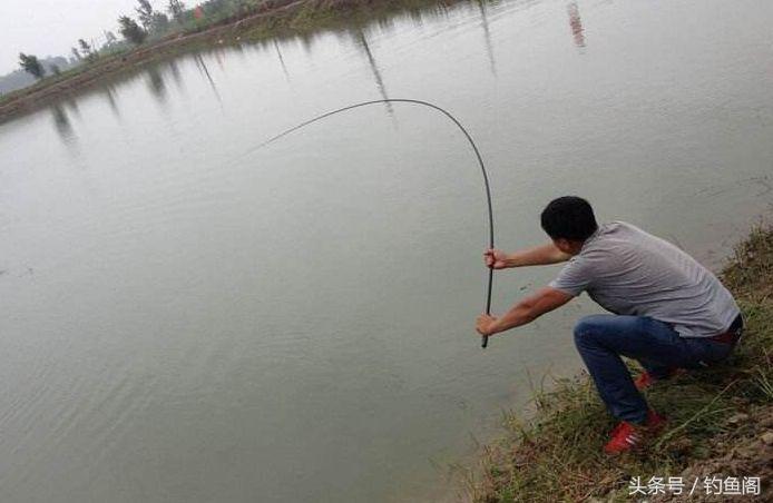 钓到大鱼总是切线跑鱼？别怪线组太细，是你遛鱼手法不对！