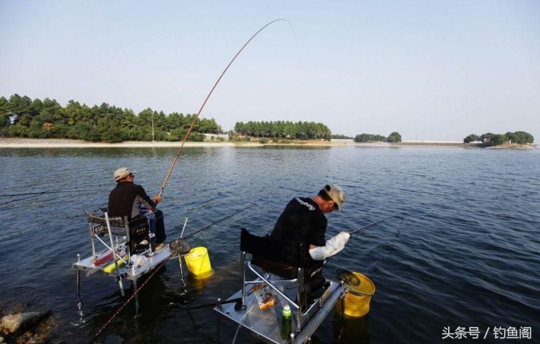 钓到大鱼总是切线跑鱼？别怪线组太细，是你遛鱼手法不对！