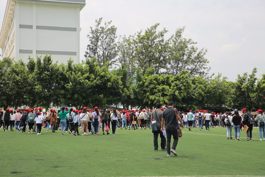 「今日宾川」既学本事还领“高”工资，这种好事给我来“一打”！