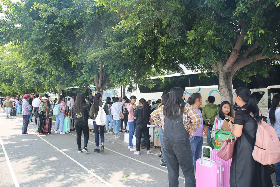 「今日宾川」既学本事还领“高”工资，这种好事给我来“一打”！