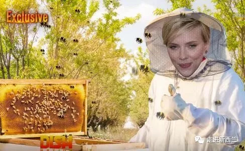 麦卢卡蜂蜜事件,麦卢卡蜂蜜坚果面包打假