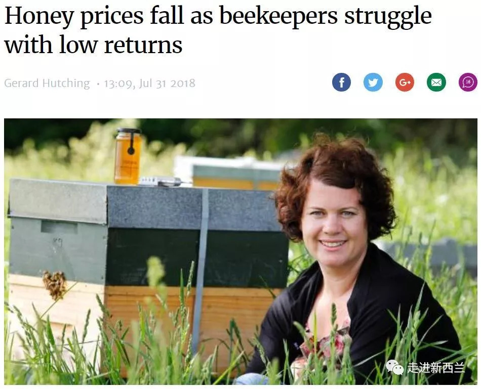 麦卢卡蜂蜜事件,麦卢卡蜂蜜坚果面包打假