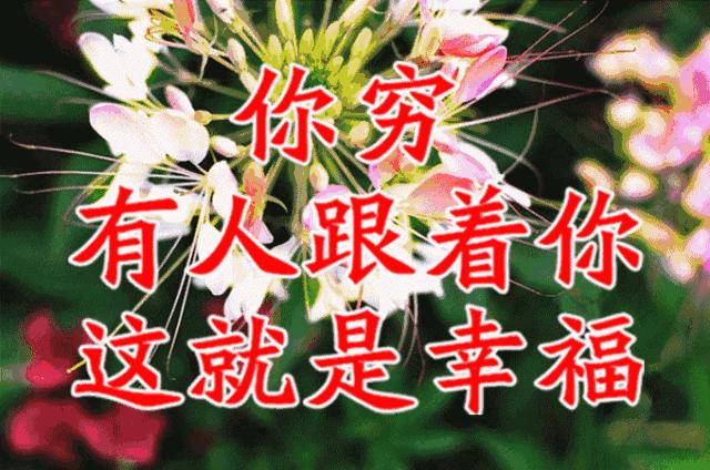 美好人生幸福相册,幸福人生的相册