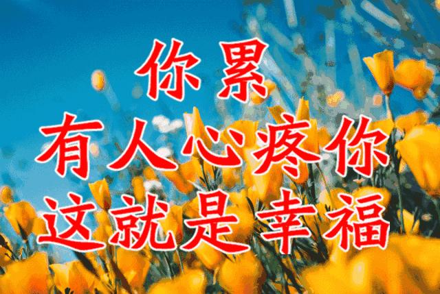 美好人生幸福相册,幸福人生的相册