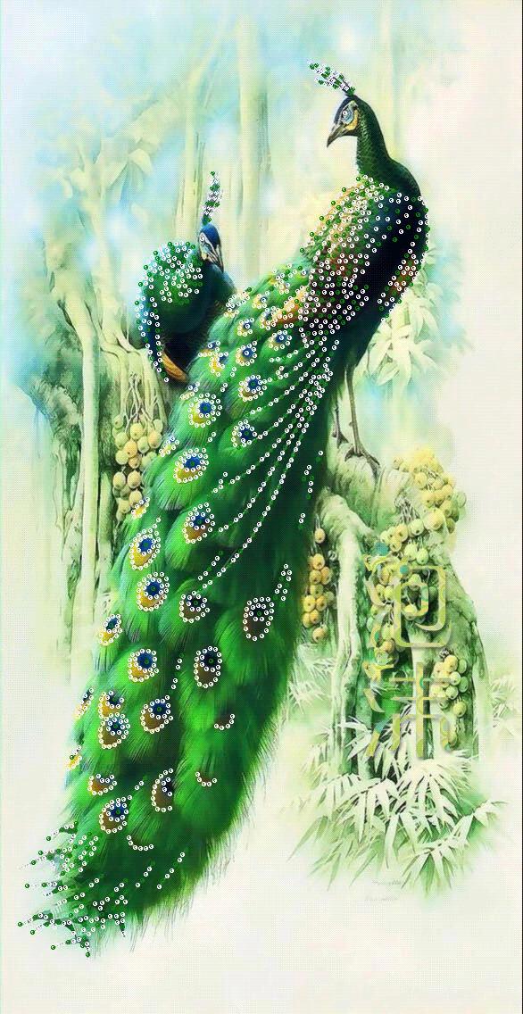 美好人生幸福相册,幸福人生的相册