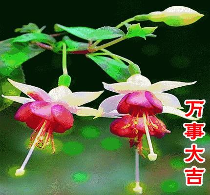 美好人生幸福相册,幸福人生的相册