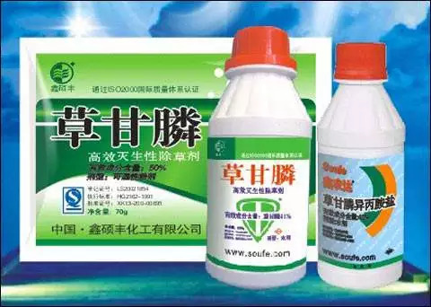 打药木耳能吃吗,木耳不过水能吃吗