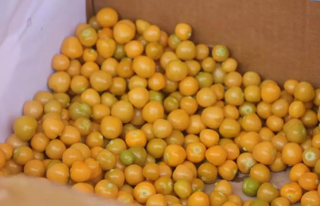 跑出个人最差成绩痛诉哈马“两宗罪”