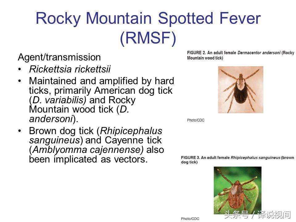 墨西哥疫情感染率高吗,墨西哥最新疫情新增病例