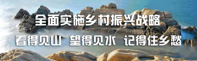 岚山区工商,日照市岚山区工商行政管理局