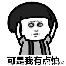 野外遇到蛇最安全的方法,家庭用什么方法防蛇进入