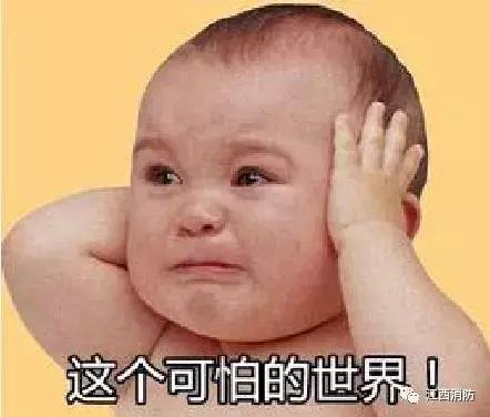 野外遇到蛇最安全的方法,家庭用什么方法防蛇进入