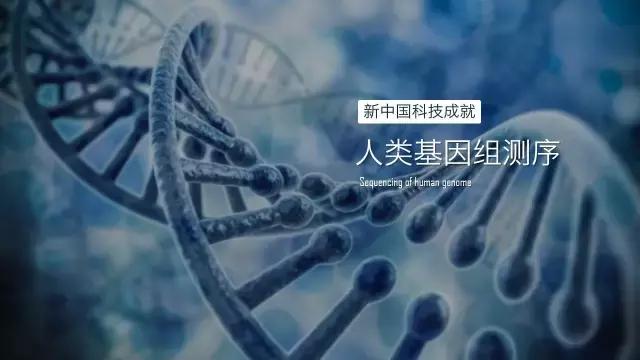 ppt的制作与排版技巧,图文ppt排版教程