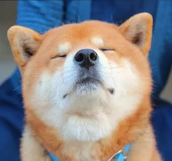 它疯狂捞金？3年破10亿背后的“秘密”！