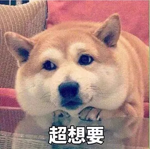 大学服装设计入门,大学服装设计专业排名