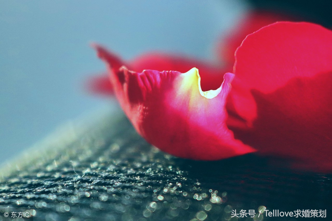 5句话让你瞬间暖心,50句暖心情话