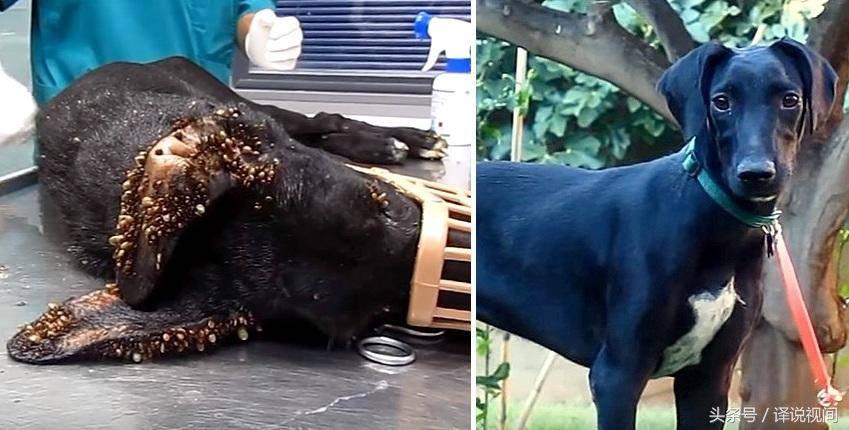 墨西哥疫情感染率高吗,墨西哥最新疫情新增病例