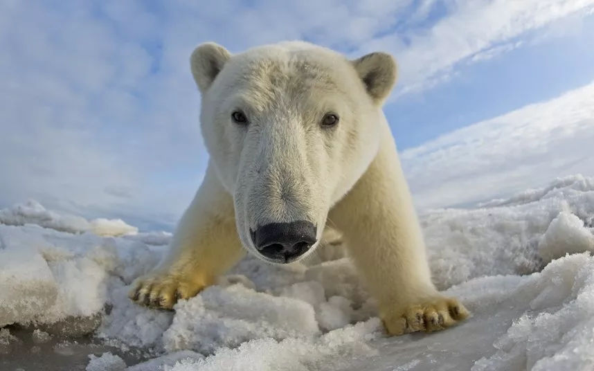 为什么情迷北美西部？只因这里的「超级自然」！