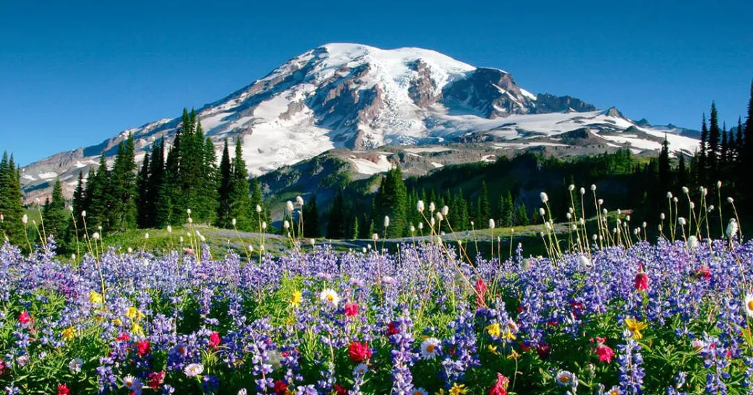 为什么情迷北美西部？只因这里的「超级自然」！