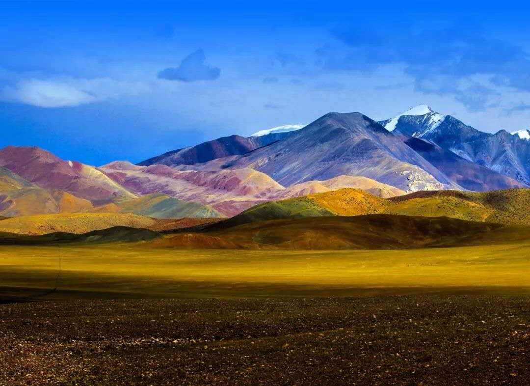 阿里在哪里申请开通合作快递,阿里在哪里的