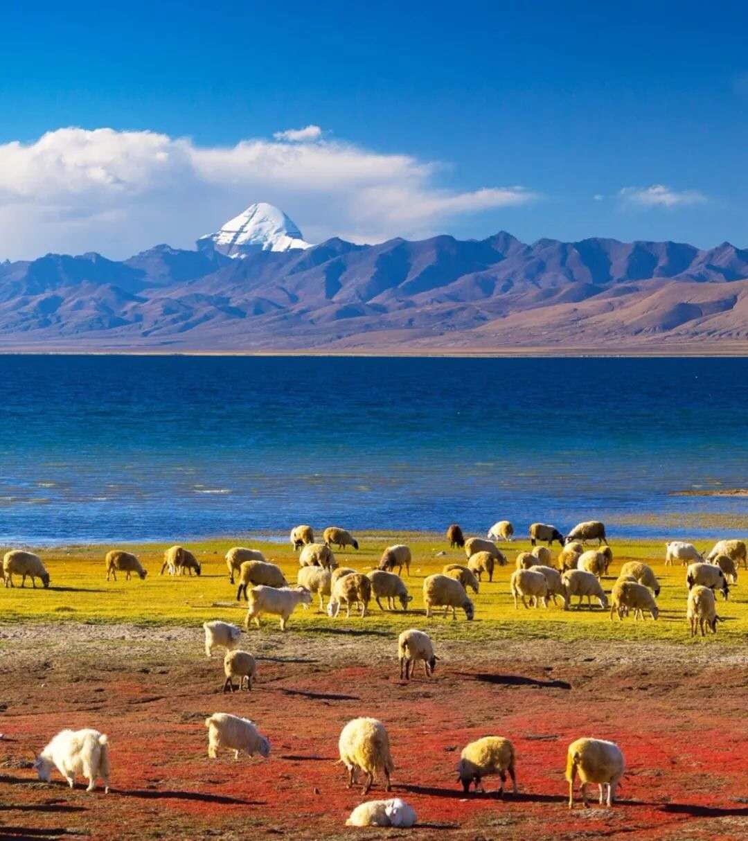 阿里在哪里申请开通合作快递,阿里在哪里的