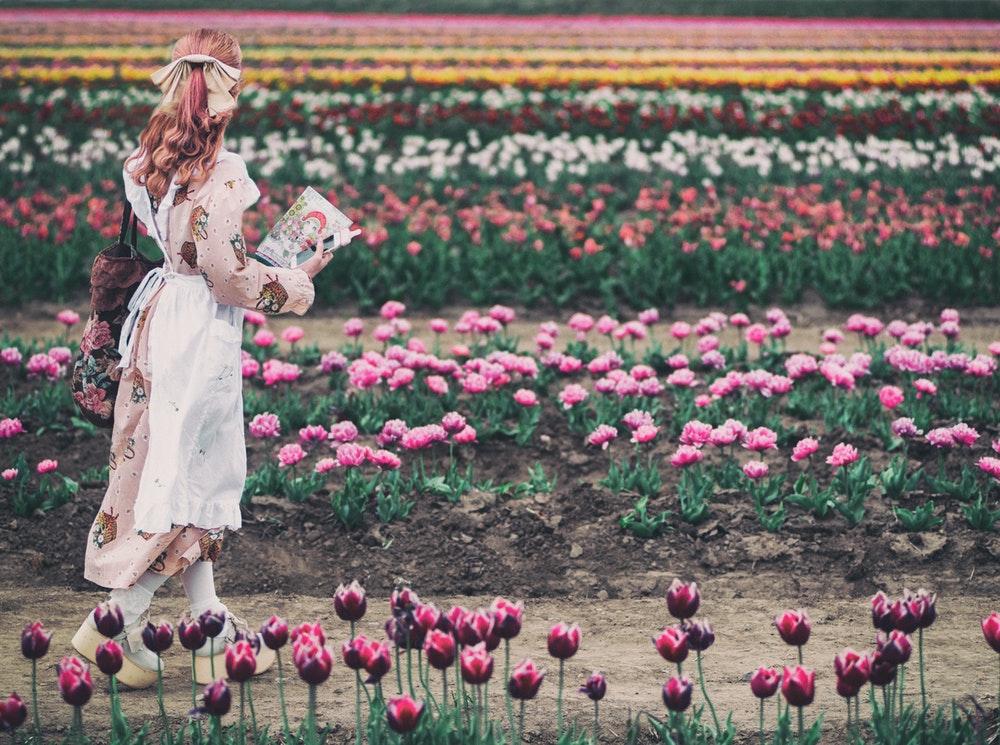 摄影入门讲堂摄影名词讲解,摄影基础常识大全集