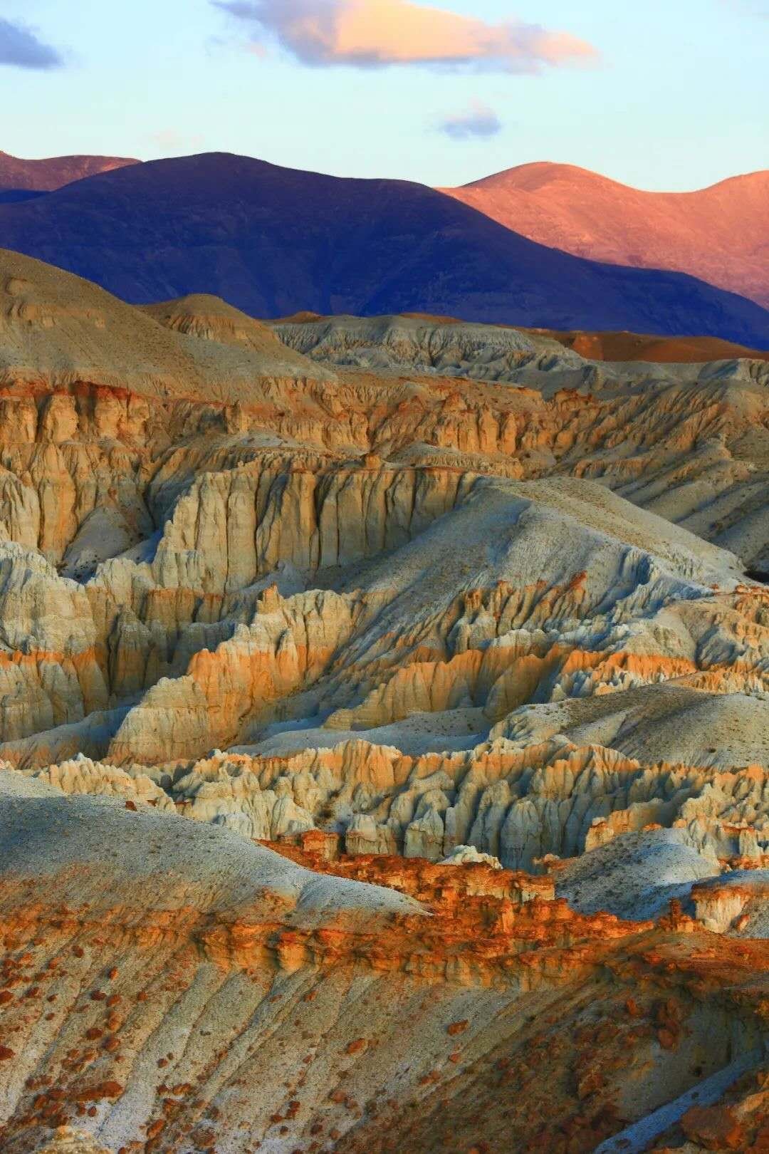 阿里在哪里申请开通合作快递,阿里在哪里的