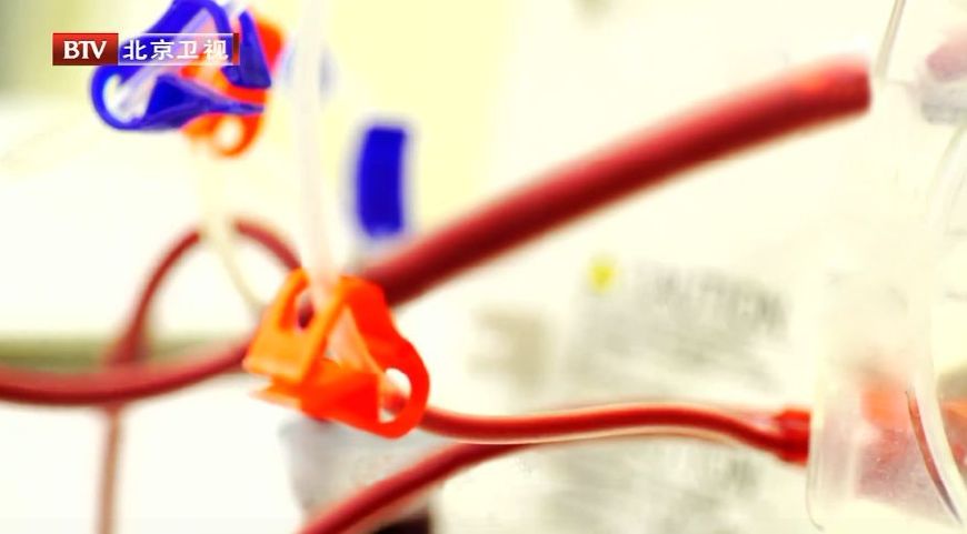 膀胱有问题,这些疾病都会找上门!忽视“漏尿”,当心拖成尿毒症