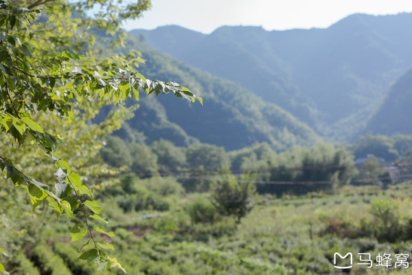 六小爷游皖南行,六小爷唱的歌