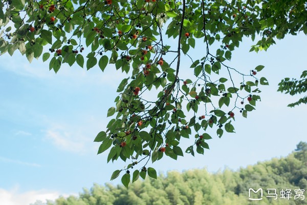 六小爷游皖南行,六小爷唱的歌