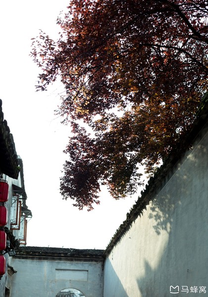 六小爷游皖南行,六小爷唱的歌