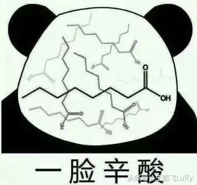 这位真·中国第一男模把普拉达当山寨品牌