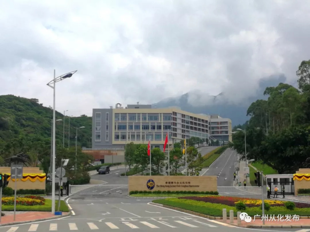 wow马术,香港赛马会从化马场