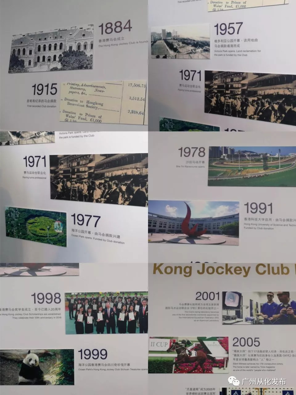 wow马术,香港赛马会从化马场