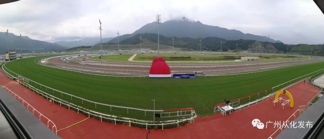 wow马术,香港赛马会从化马场