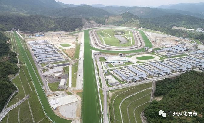 wow马术,香港赛马会从化马场