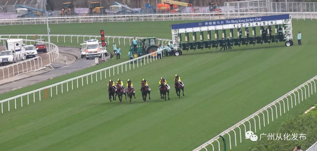 wow马术,香港赛马会从化马场